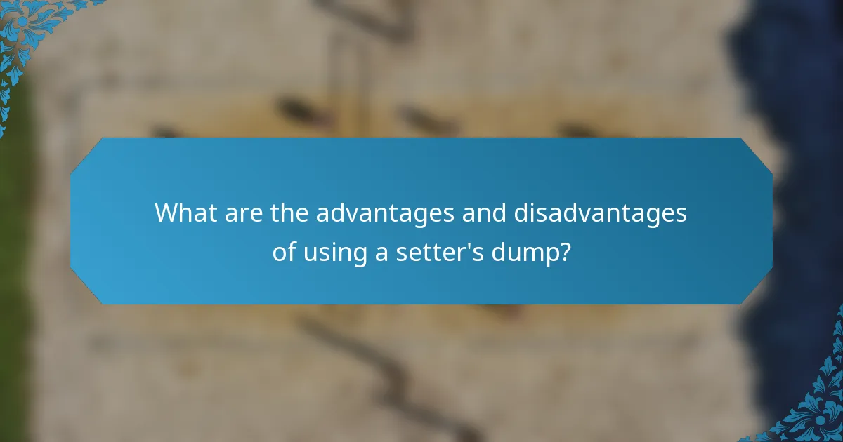 What are the advantages and disadvantages of using a setter's dump?